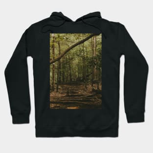 Your Roots will Lead the Way Hoodie